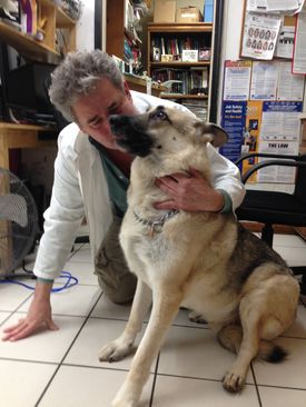 A woman in a lab coat petting a dog.