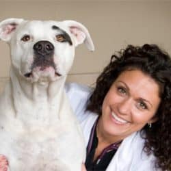 A woman in a white coat holding a white dog.