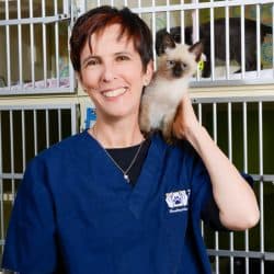 A woman holding a cat.