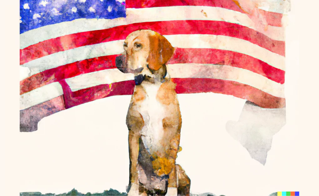 a dog and an American flag