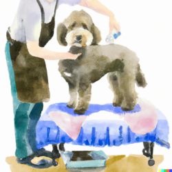 Choosing the Right Groomer for your Dog