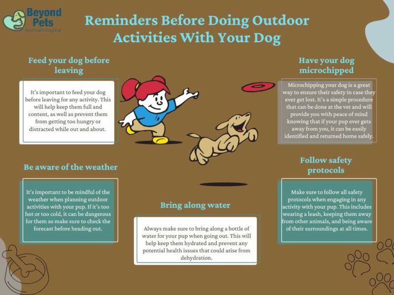 reminders to keep your dog safe while outdoors