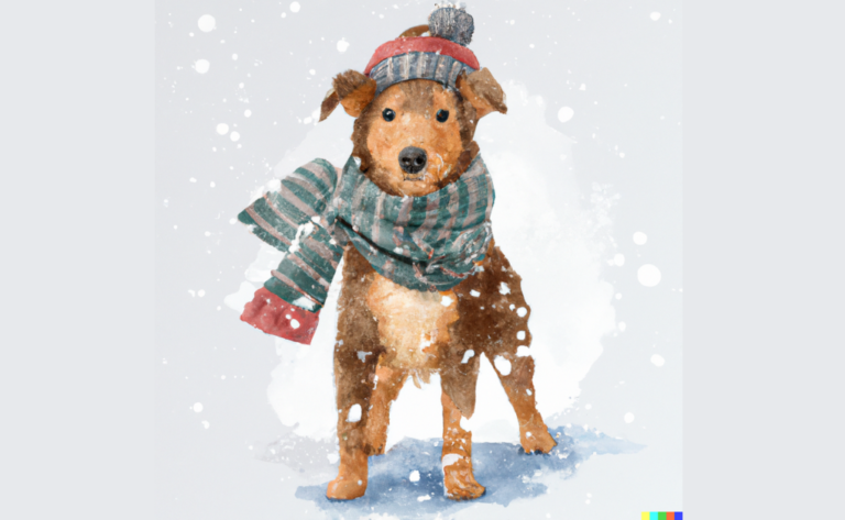 Pet Safety for Cold Weather