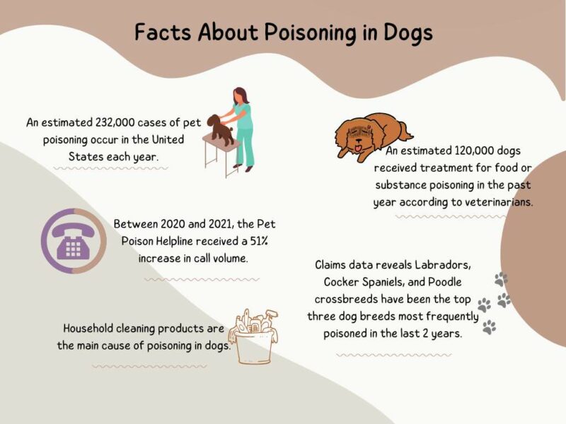 poisoning in dogs