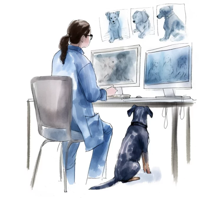veterinarian in scrubs looking at dog xrays on t 9ffe2415 be00 44d4 858d afe2f5d79a3e.png