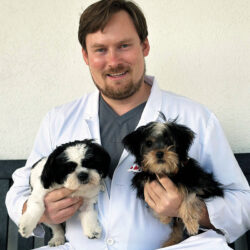 A person in a white coat holds two small dogs, one black and white and one mostly black, standing against a plain light-colored background.